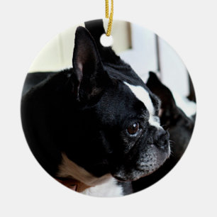 Boston terrier ceramic tree decoration