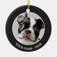 Boston Terrier