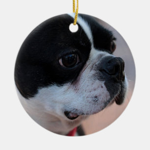 Boston terrier ceramic tree decoration