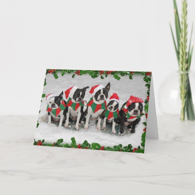 Boston Terrier Christmas Card (Front)