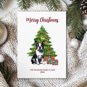 Boston Terrier Christmas Card