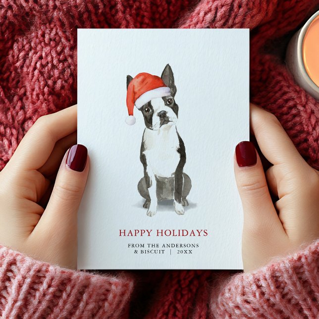 Boston Terrier Christmas Card (Boston Terrier Christmas Card)