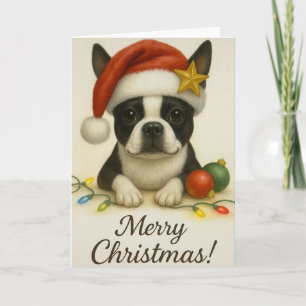 Boston Terrier Christmas Card