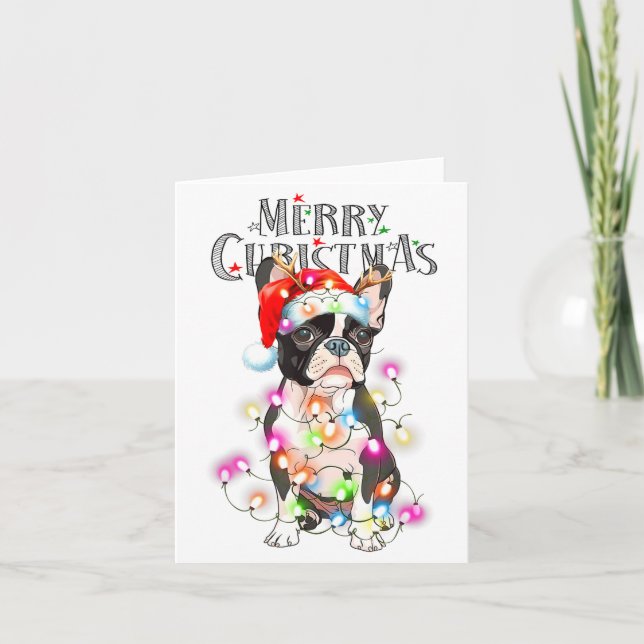 Boston Terrier Christmas Lights Xmas Dog  Card (Front)