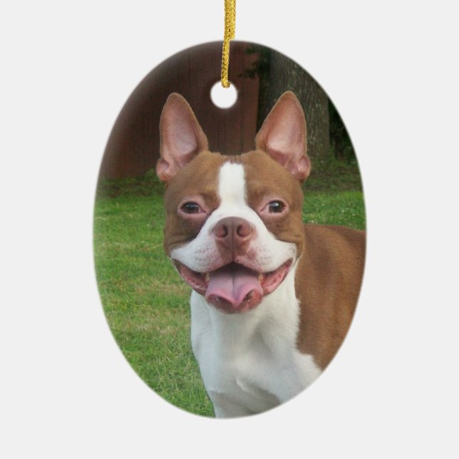 Boston Terrier Christmas Ornament (Front)