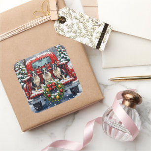 Boston Terrier Christmas Red Truck Holiday Square Sticker