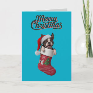 Boston Terrier Christmas Stocking Holiday Card