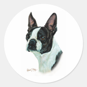 Boston Terrier Classic Round Sticker