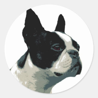 Boston Terrier Classic Round Sticker