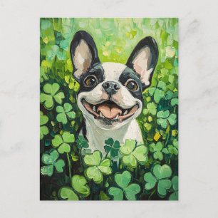 Boston Terrier Clover Field Painting Postcard