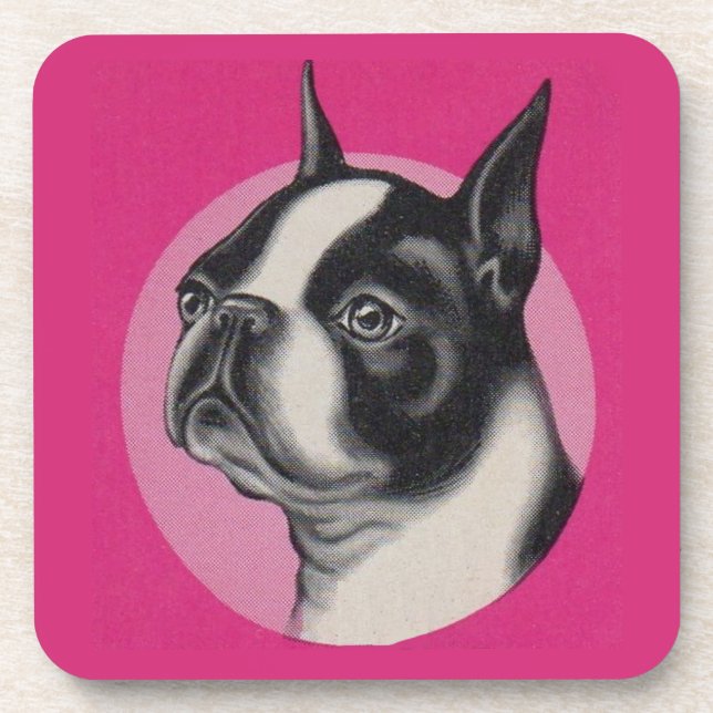  Boston terrier  Coaster (Front)