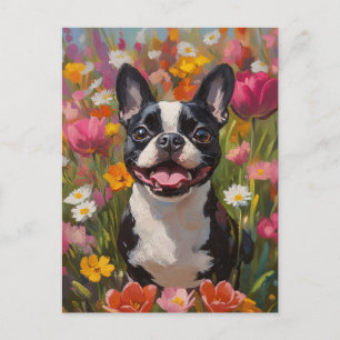 Boston Terrier Colourful Wildflower Field Postcard