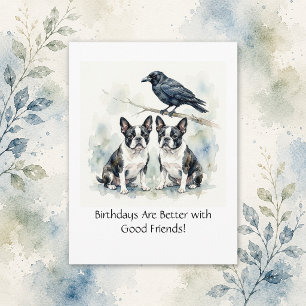 Boston Terrier / Crow Happy Birthday Business Postcard
