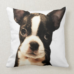 BoSTON TERRiER Cushion