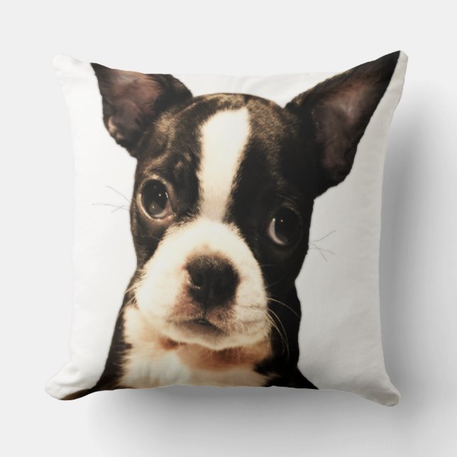 BoSTON TERRiER Cushion (Front)