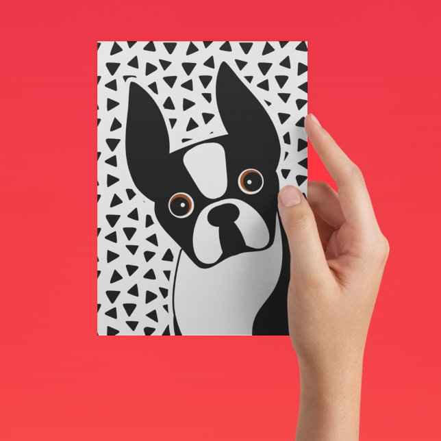 Boston Terrier Cute Black and White Postcard (Creator Uploaded)