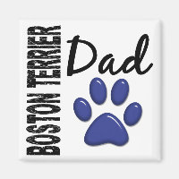 Boston Terrier Dad 2