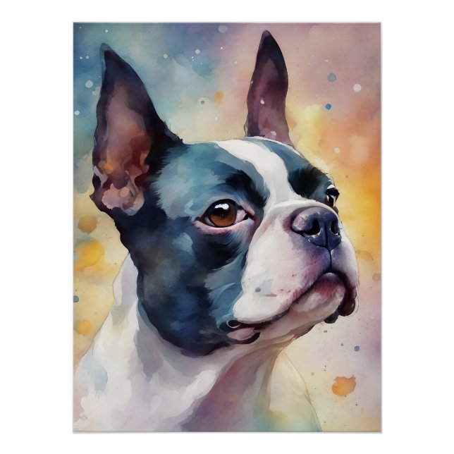 Boston Terrier Digital Watercolor Portrait Dog 173 Poster (Front)