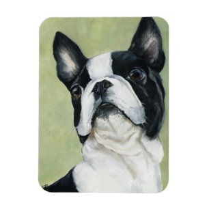 Boston Terrier Dog Art Magnet
