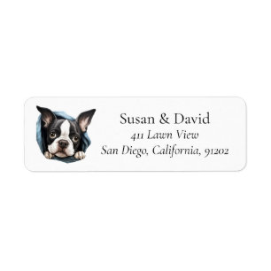 Boston Terrier Dog Breed Pet Lovers