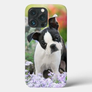 Boston Terrier Dog Cute Puppy Animal Head Photo - iPhone 13 Pro Case