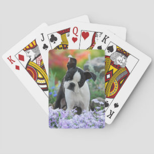 Boston Terrier Dog Cute Puppy in Flowers - Playing Cards