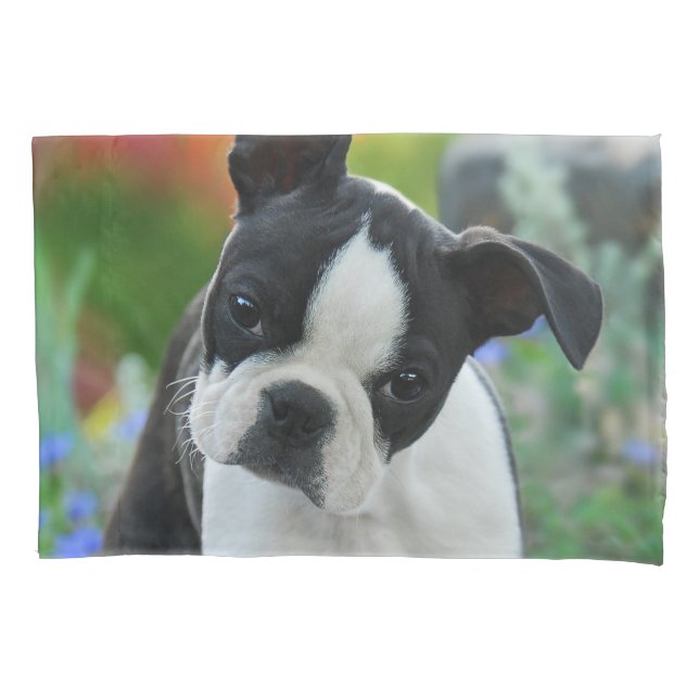 Boston Terrier Dog Cute Puppy Photo - Pillow-Cover Pillowcase (Front)