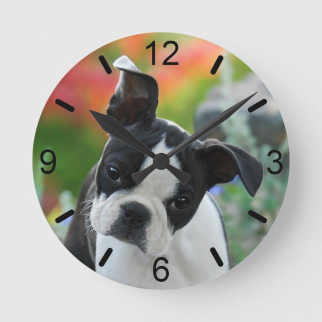 Boston Terrier Dog Cute Puppy Portrait  dial-plate Round Clock (Front)