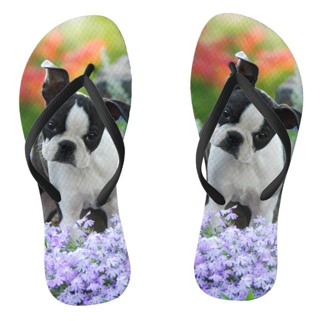 Boston Terrier Dog Cute Puppy Portrait Pet Photo - Jandals (Footbed)