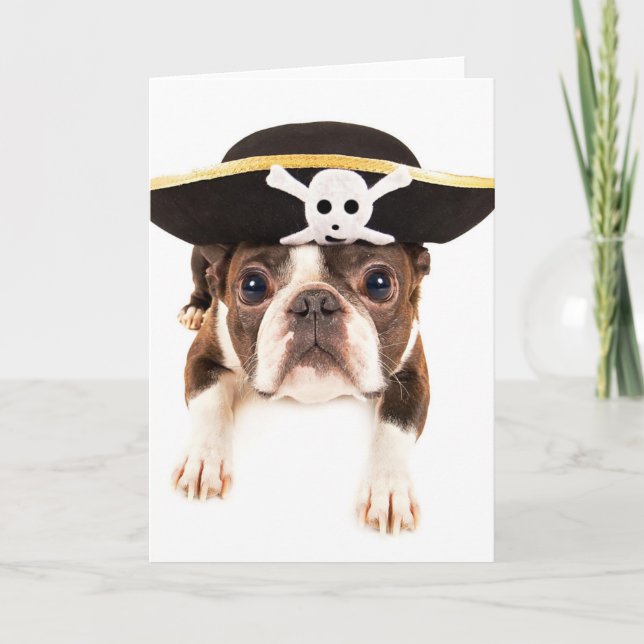 Boston Terrier Dog Dressed As A Pirate Card (Front)