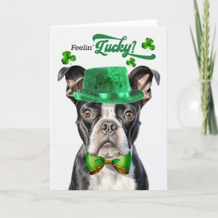 Boston Terrier Dog Feelin' Lucky St Patrick's Day Holiday Card