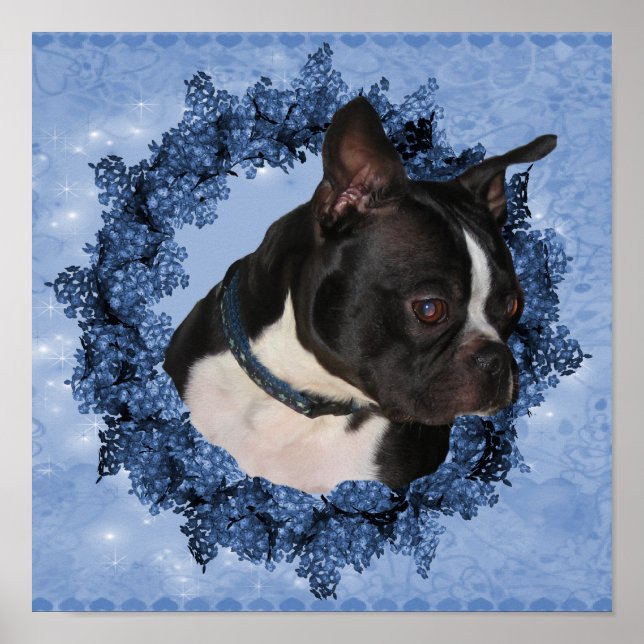 Boston Terrier Dog In Floral Wreath Poster (Front)