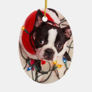 Boston Terrier Dog in Twinkling Lights Ornament