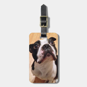 Boston Terrier Dog Luggage Tag