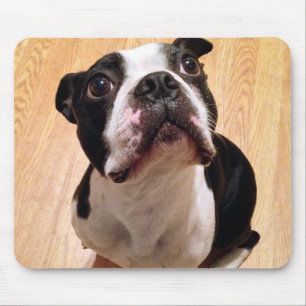 Boston Terrier Dog Mouse Pad