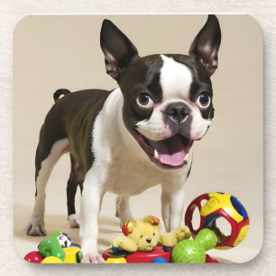Boston Terrier Dog Playing with Toys Coaster