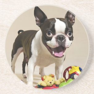 Boston Terrier Dog Playing with Toys Coaster