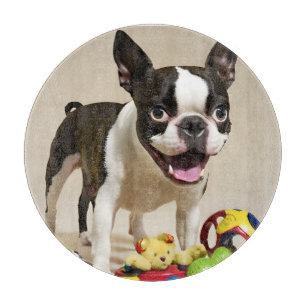 Boston Terrier Dog Playing with Toys Cutting Board