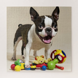 Boston Terrier Dog Playing with Toys Jigsaw Puzzle