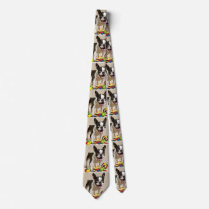 Boston Terrier Dog Playing with Toys Tie