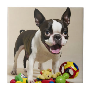 Boston Terrier Dog Playing with Toys Tile
