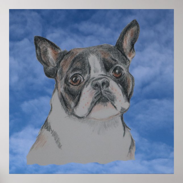 Boston Terrier Dog Poster (Front)