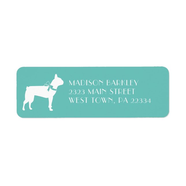 Boston Terrier Dog Puppy (Front)