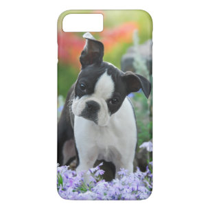 Boston Terrier Dog Puppy Case-Mate iPhone Case