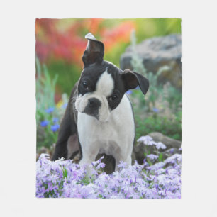 Boston Terrier Dog Puppy cosy Fleece Blanket