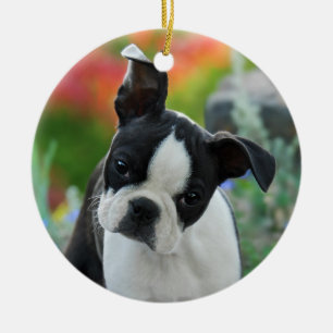 Boston Terrier Dog Puppy hang Decor Ceramic Tree Decoration