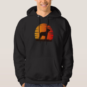 Boston Terrier Dog Retro  16 Hoodie