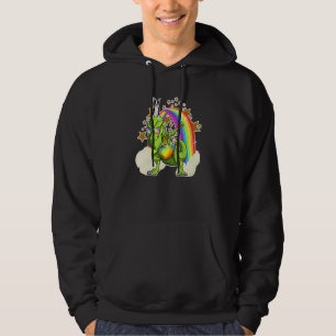Boston Terrier Dog Rides Dancing Rex & Rainbow Clo Hoodie