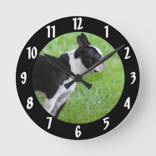 Boston Terrier dog Round Clock