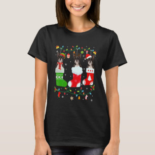 Boston Terrier Dog Three Christmas Socks Sweater X